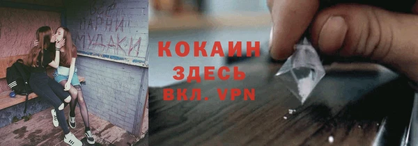 МДПВ Алзамай