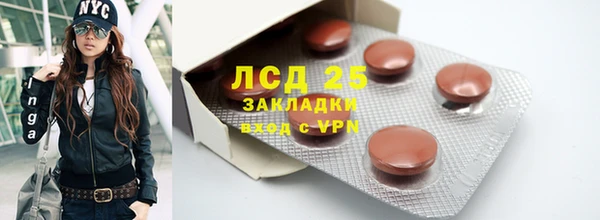 прущие грибы Алексин
