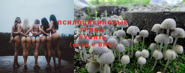 МДПВ Алзамай
