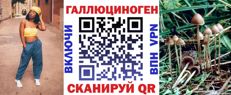 закладки ссылка на мегу маркетплейс Псилоцибиновые грибы Cubensis Лаишево